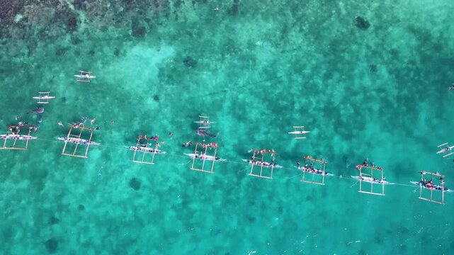 Aerial view of outrigger boats lined along turquoise waters, with people swimming alongside whale sharks in Oslob, Central Visayas, Philippines.