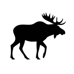 Obraz premium Black moose silhouette in different standing and walking poses,moose silhouette