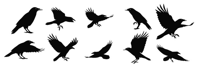 Fototapeta premium collection featuring black silhouettes of isolated crows