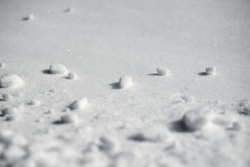 The surface of the snow crust.