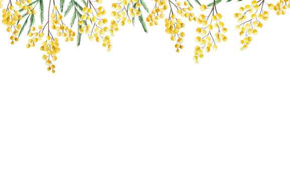 Spring mimosa flowers seamless border, banner. Watercolor easter hand drawn illustration isolated on background, transparent png. Botanical and wedding clip art. For greeting card, wallpaper, wrapping