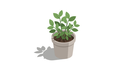 Obraz premium Clean, simple illustration of a green plant in a pot on a white background. Perfect for websites, social media, presentations about nature, ecology, or home decor.