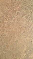 Obraz premium Close-up of abstract oil painting on canvas with warm beige and ochre tones. Visible brush strokes and rich paint texture create a calm, minimal, earthy background ideal for design and art projects