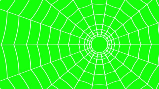 Outline vector spider web on green background. Seamless animation of rotation movement.