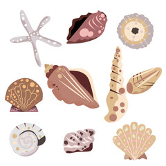 Cute Seashell Collection Vector Illustration