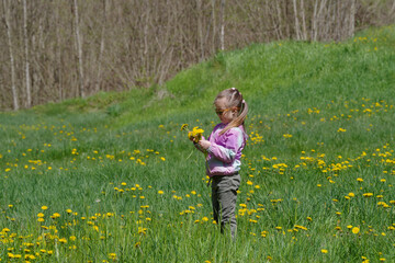Girl picking flowers