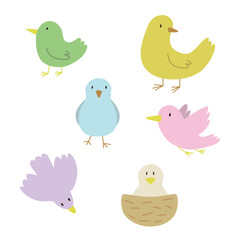 いろんなポーズのカラフルな小鳥たちのイラストセット