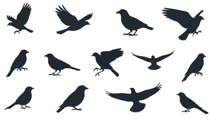 Fototapeta premium Silhouettes of birds in various flying and standing poses on a plain background