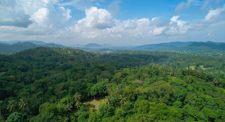 Obraz premium Aerial view of a lush rainforest showcasing thriving natural habitats and reforestation efforts