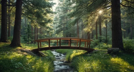 Wandcirkels Ziekenhuis soothing natural environment with a suspension bridge amid tall pines  © The 2R Artificiality
