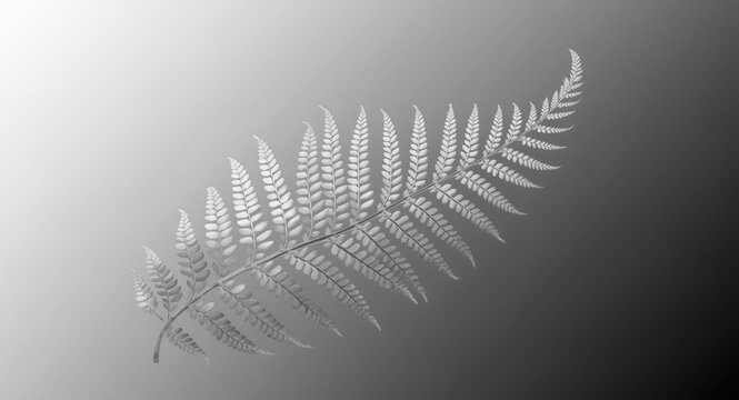 Silver fern leaf figure in monochrome artistic style
