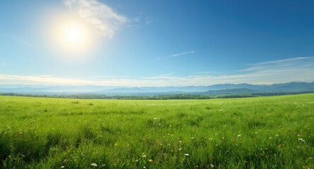 Obraz premium Animated landscape with a spacious green grass field and distant hills under a bright summer sky