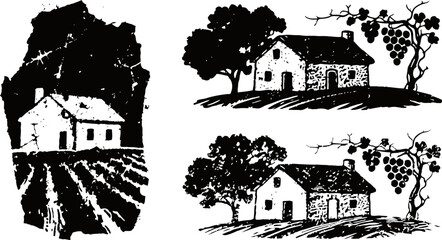 Obraz premium rustic countryside houses with vineyard, trees, and cultivated fields in vintage ink