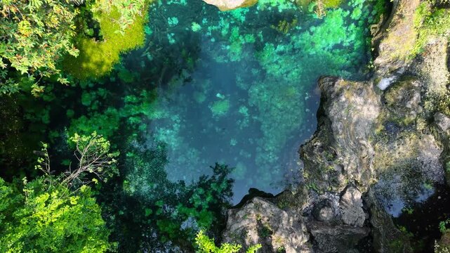 Aerial view of a clear turquoise natural water pool Ain Athum surrounded by dense green trees and rocky cliffs in Salalah, Oman.