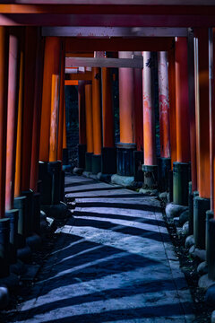 View of vibrant vermilion torii gates casting long, cool shadows along a stone pathway, creating a striking contrast of color and light, Fushimi Inari, Kyoto, Japan.