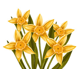 Obraz premium Hand Painted Yellow Daffodils Bouquet with Green Leaves on Light Background, Botanical Spring Floral Illustration