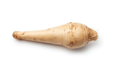 Smooth white background featuring horseradish in natural form