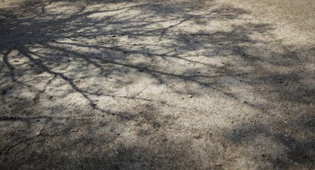 Macro perspective on weathered concrete textures evoking a landscape scene with soft tree and grass shadow overlays