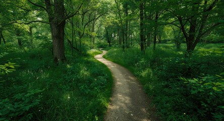 Obraz premium top perspective of a one way route amidst rural woodland trees