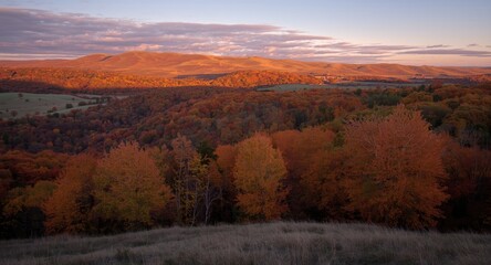 Fototapeta premium Relaxing autumn scene of vibrant foliage and smooth rolling hills at dusk
