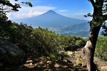 御坂山地の黒岳展望台より望む夏富士

