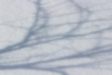 Obraz premium White snow texture background. Winter natural backdrop with fresh snowfall and cold seasonal atmosphere.