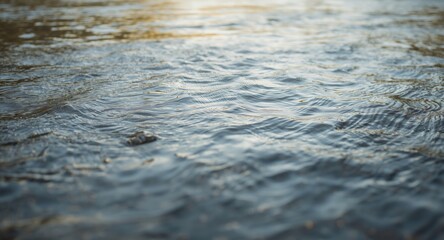 Natural river water texture background with gentle ripples and soft light