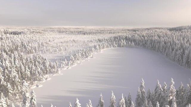 Drone flight over snow covered pond and bog area surrounded by trees in winter landscape far away from city