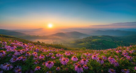 Obraz premium Cosmic flowers spreading across green hill landscapes captured in a peaceful sunrise panorama