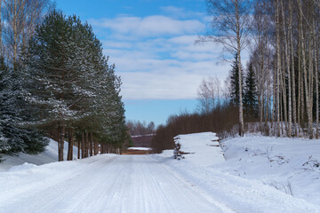 winter road in the forest