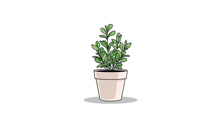 Fototapeta premium Cute and simple cartoon illustration of a small, leafy green houseplant in a beige pot with a shadow, isolated on a white background.