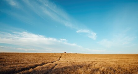 Fototapeta premium A joyful day filled with a clear blue sky and soft light
