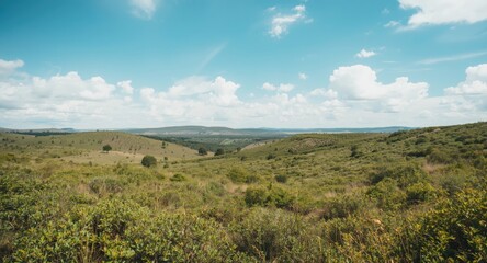Wide angle perspective of gently sloping terrain with vegetation and open sky
