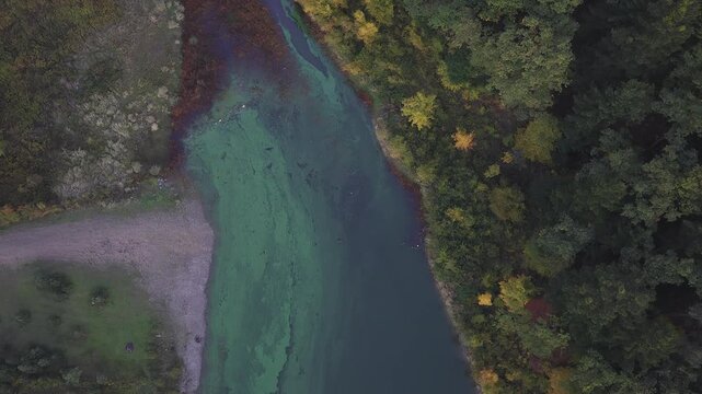 Aerial view of colorful pond.