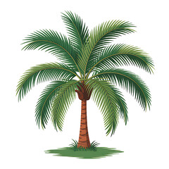 A tall palm tree with a brown trunk and lush green fronds standing on a grassy area.