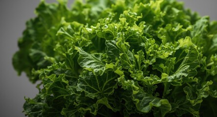 Obraz premium Intense close up of green lettuce leaves with textured surfaces