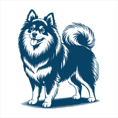 Obraz premium Fluffy Pomeranian Dog Standing Detailed Vector Illustration