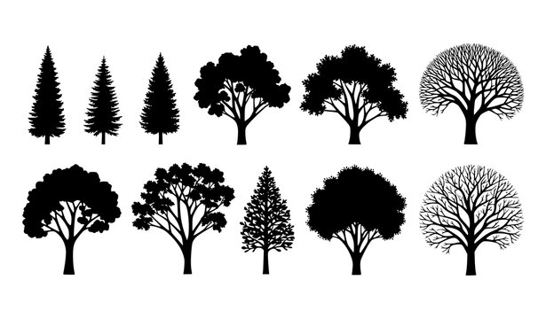 Mixed Tree Silhouette Collection with Pine and Leafless Branch Trees Vector
