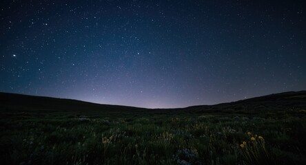 sparkling stars lighting a quiet meadow at night
