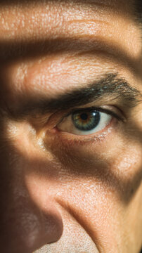 Intense Gaze