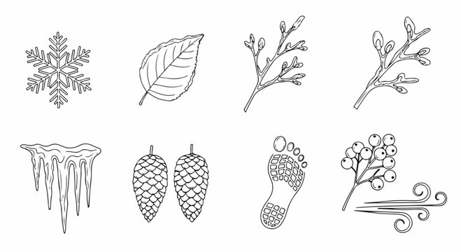 Various types of leaves, pine cones, and branches illustrated in black and white Vector