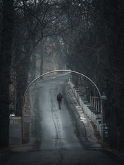 man walking in a tree tunnel