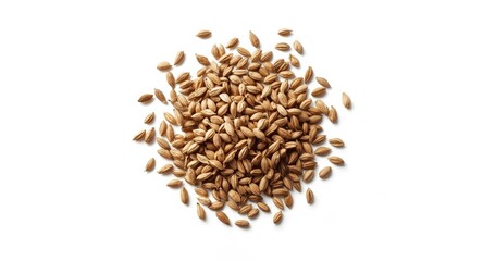 Caraway seeds highlighted in close view on a clean white background setting