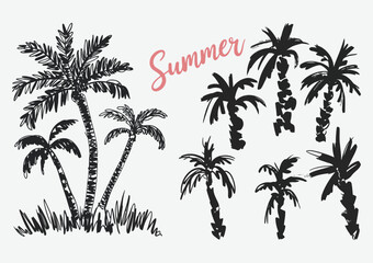 Fototapeta premium Hand Drawn Palm Trees and Tropical Leaves Black Ink Sketch Set, Summer Holiday Background with Exotic Island Plants, Botanical Line Art Illustration for Travel Design, Vacation Branding