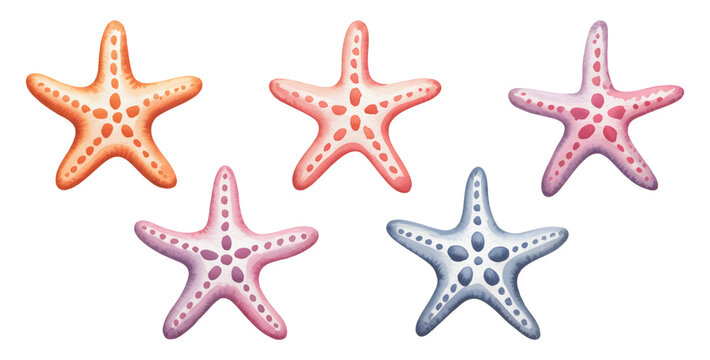 Ocean starfish elements in delicate hand paint watercolor style. Pastel marine sea star collection isolated. 