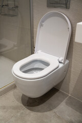 Wall-mounted toilet with open lid bringing a sense of cleanliness and contemporary design to a modern bathroom interior, illustrating hygiene and comfort