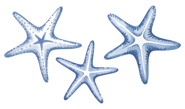 Ocean starfish elements in delicate hand paint watercolor style. Pastel marine sea star collection isolated. 