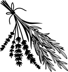 Hand Drawn Vector Bundle of Herbs Silhouette - Tied Lavender and Rosemary Bouquet Monoline Graphic