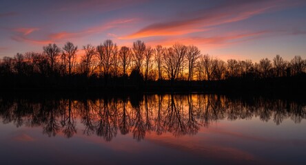 Obraz premium Sunset lake reflecting stark tree silhouettes in bright hues