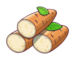Group Of Fresh Cassava Tubers For Traditional Meal Preparation And Nutritious Vegetable Ingredient Use - Vector Illustration